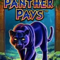 Panther Pays game icon