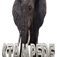 Stampede game icon